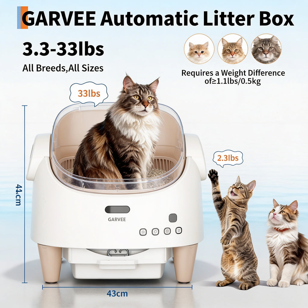 Automatic Self-Cleaning Cat Litter Box — Smart App Control, 10L Waste Bin