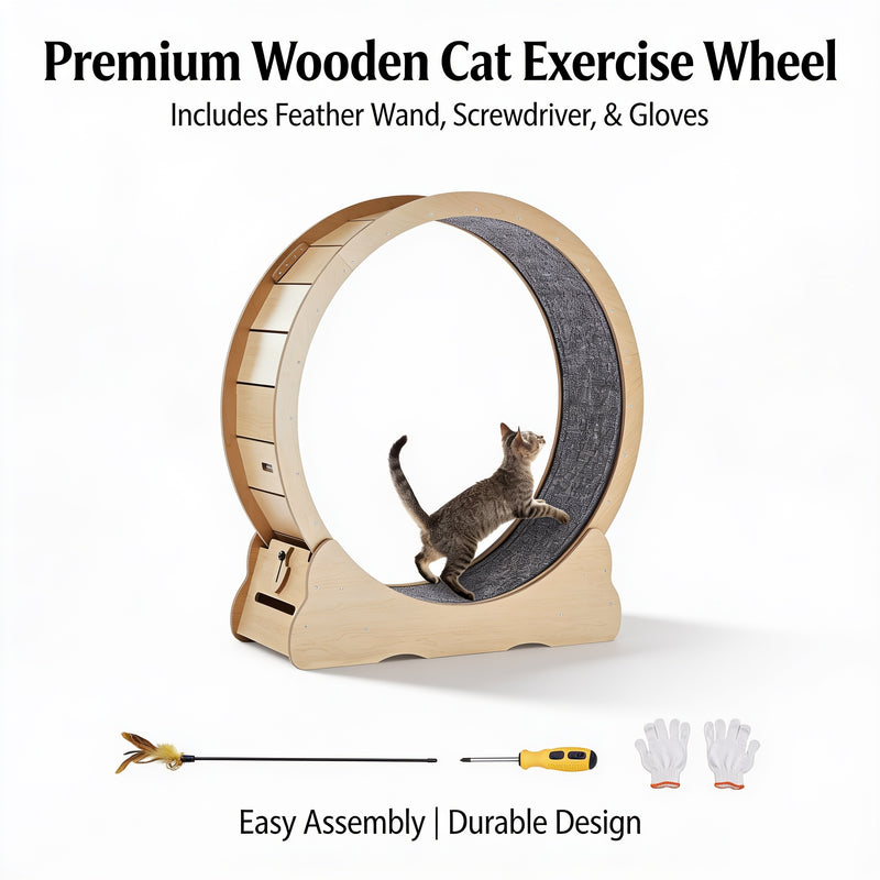 Cat Exercise Wheel — Solid Wood Running Wheel, Quiet Treadmill for Indoor Cats
